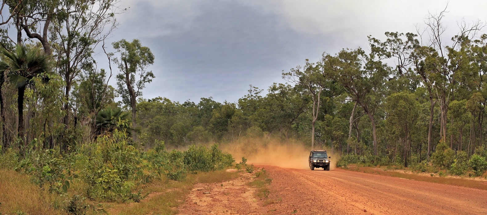 The Best Australian Road Trips 14 Cairns to Cape York 1