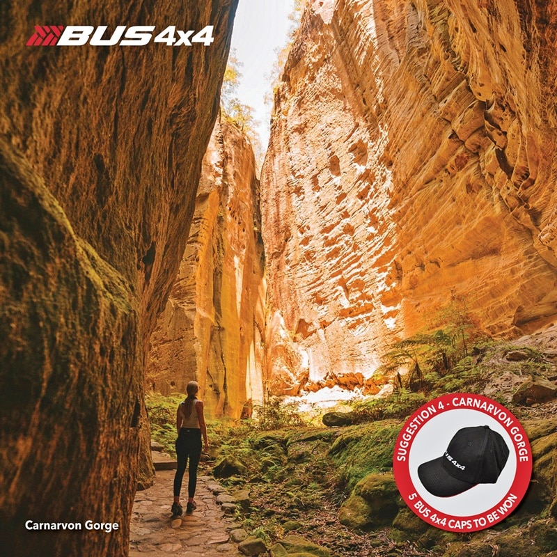 Carnarvon Gorge