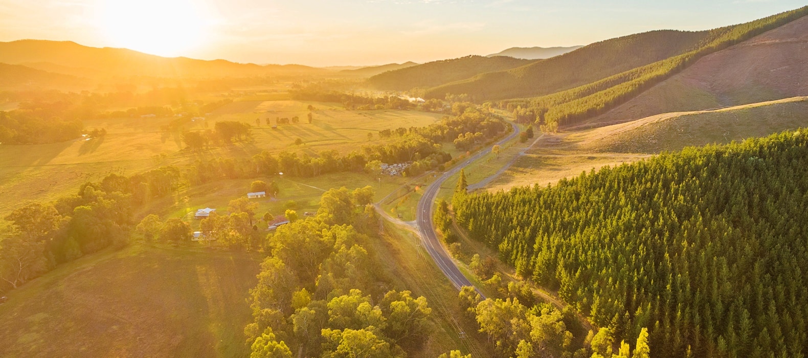 The Best Australian Road Trips 17 Great Alpine Road 1