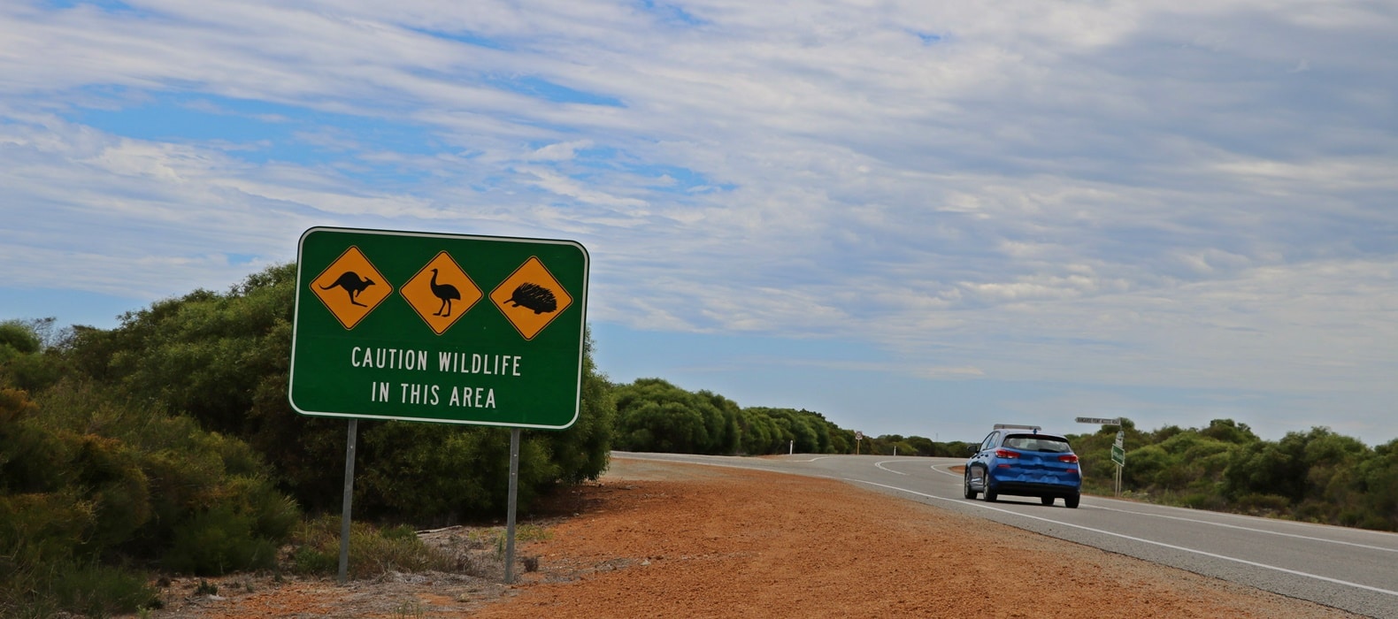 The Best Australian Road Trips 15 Perth to Ningaloo Reef 1