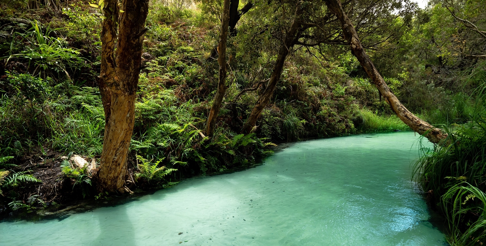 Explore Fraser Island 9 Eli Creek Fraser Island