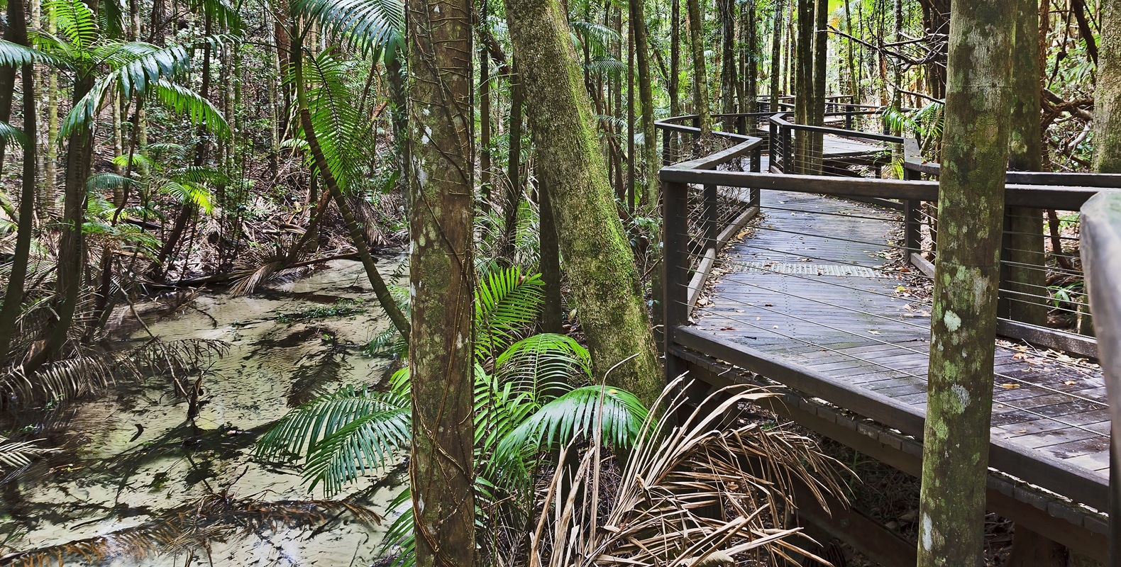 Explore Fraser Island 16 Fraser Island Walk