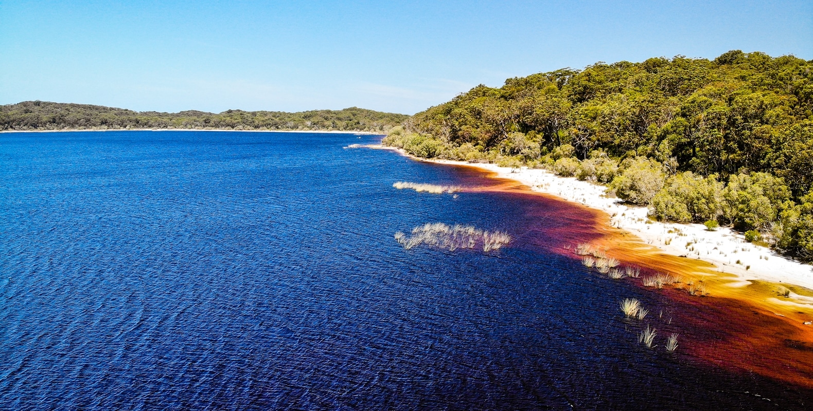 Explore Fraser Island 11 Lake Boomanjin Fraser Island