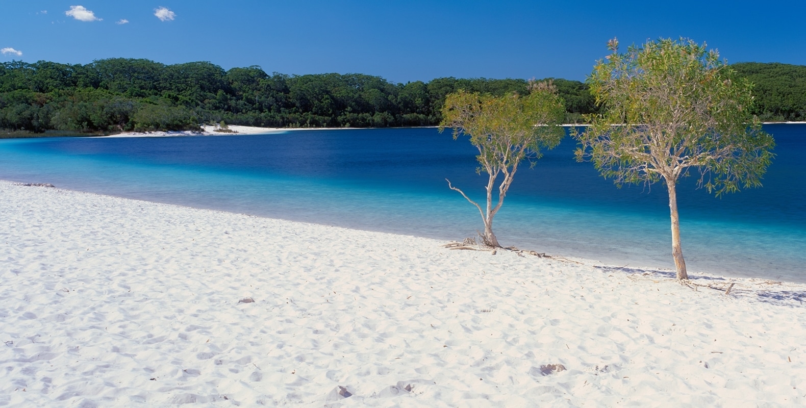 Explore Fraser Island 8 Lake Mckenzie Fraser Island