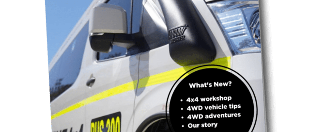 2023 March Newsletter 11