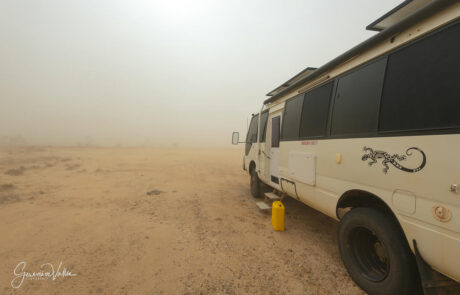 Dust Storm Dust Storm