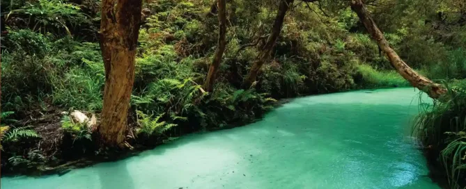 Leisure 10 River in the jungle | image for the Leisure Industries page.